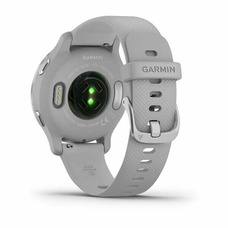 Умные часы Garmin Venu 2S (Цвет: Silver)