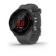 Умные часы Garmin Forerunner 55 (Цвет: G..