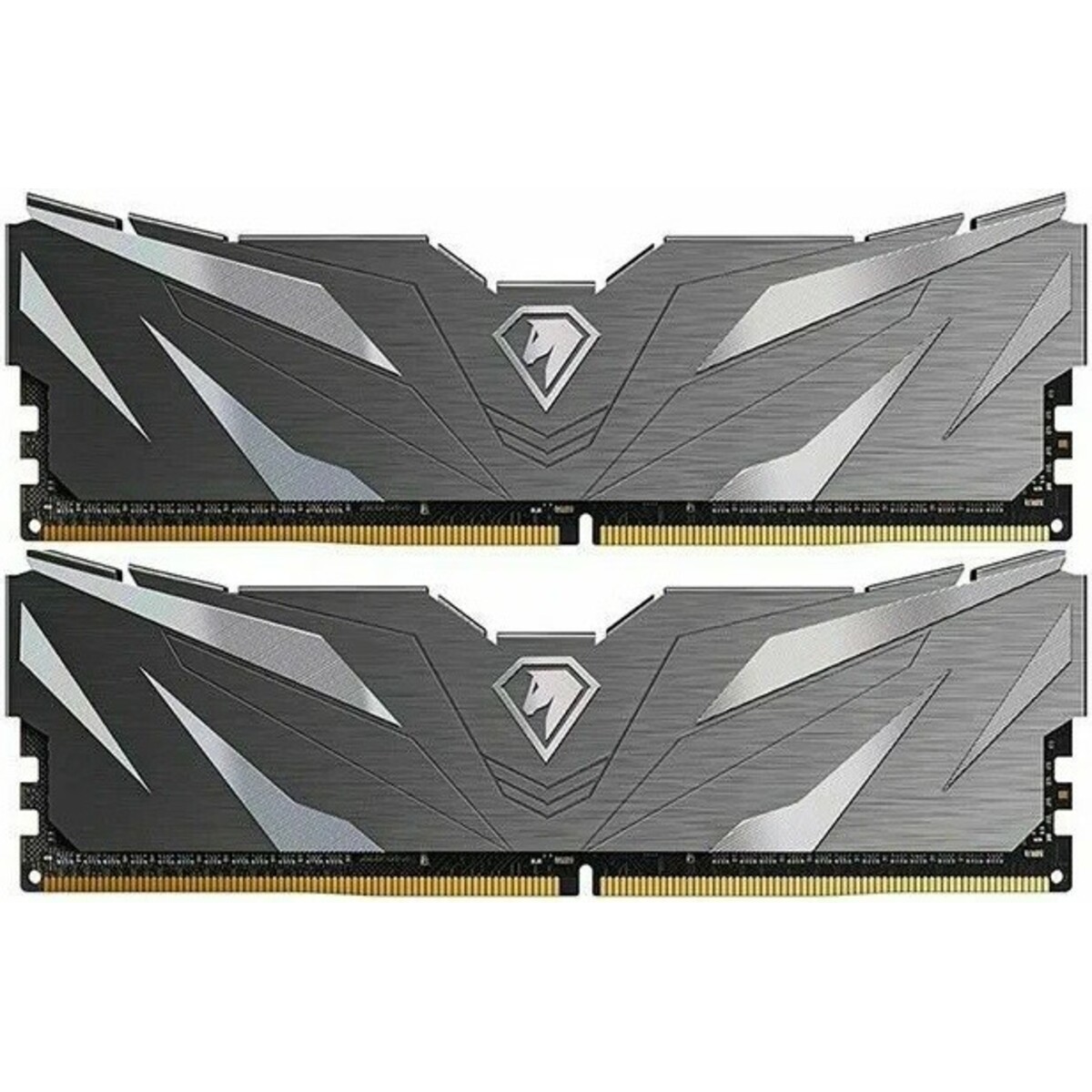 Память DDR4 2x16Gb 3200Mhz Netac NTSWD4P32DP-32K