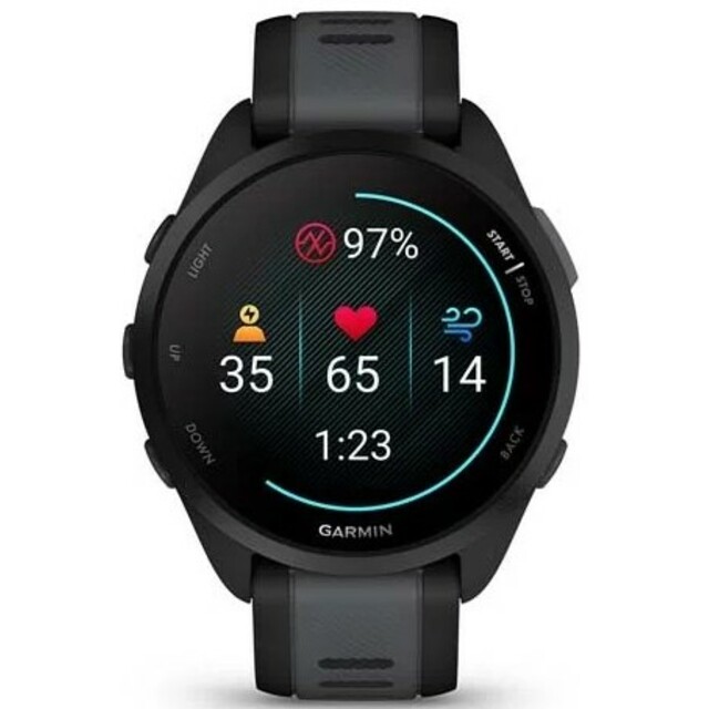 Умные часы Garmin Forerunner 165 (Цвет: Black/Slate Gray)