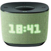Умная колонка Sber Boom Home (Цвет: Green)