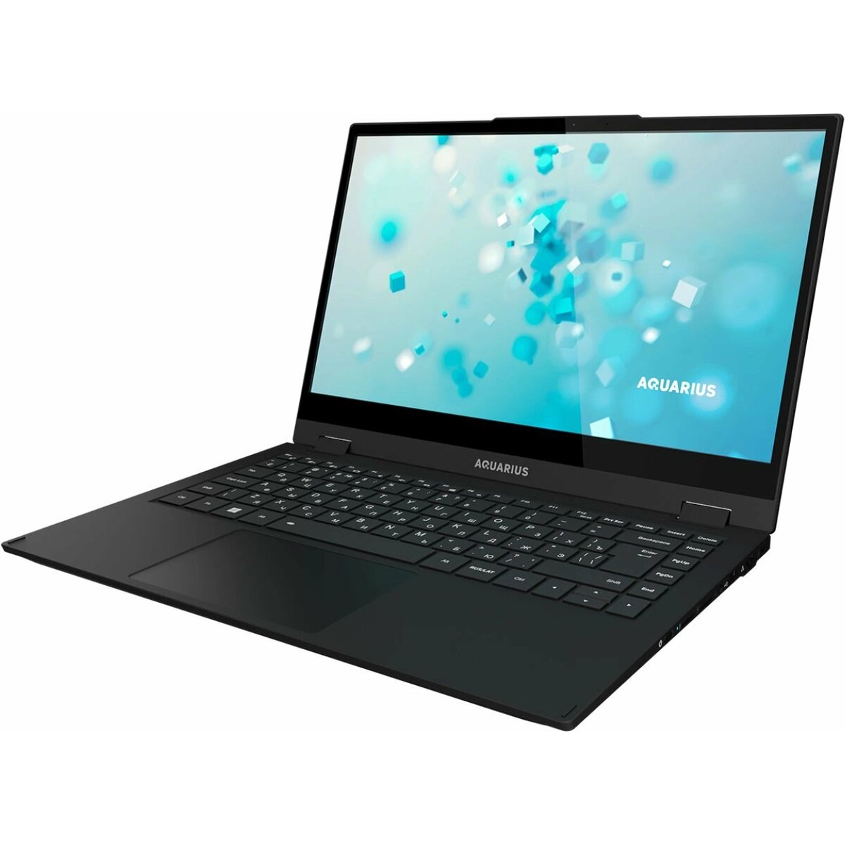 Ноутбук Aquarius CMP NS483 (Исп.2) (Core i5 1155G7 2.5Ghz/16Gb LPDDR4/SSD256Gb/Intel Iris Xe graphics/14"/noOS/black) (NS4831524116Q151E90NT2NNNN2)