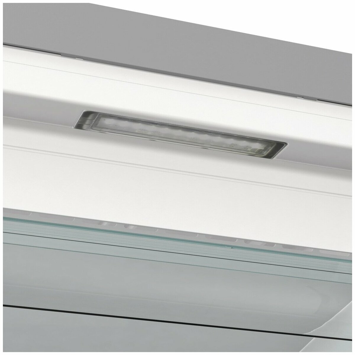 Морозильная камера Gorenje FN619EAXL6 (Цвет: Inox)