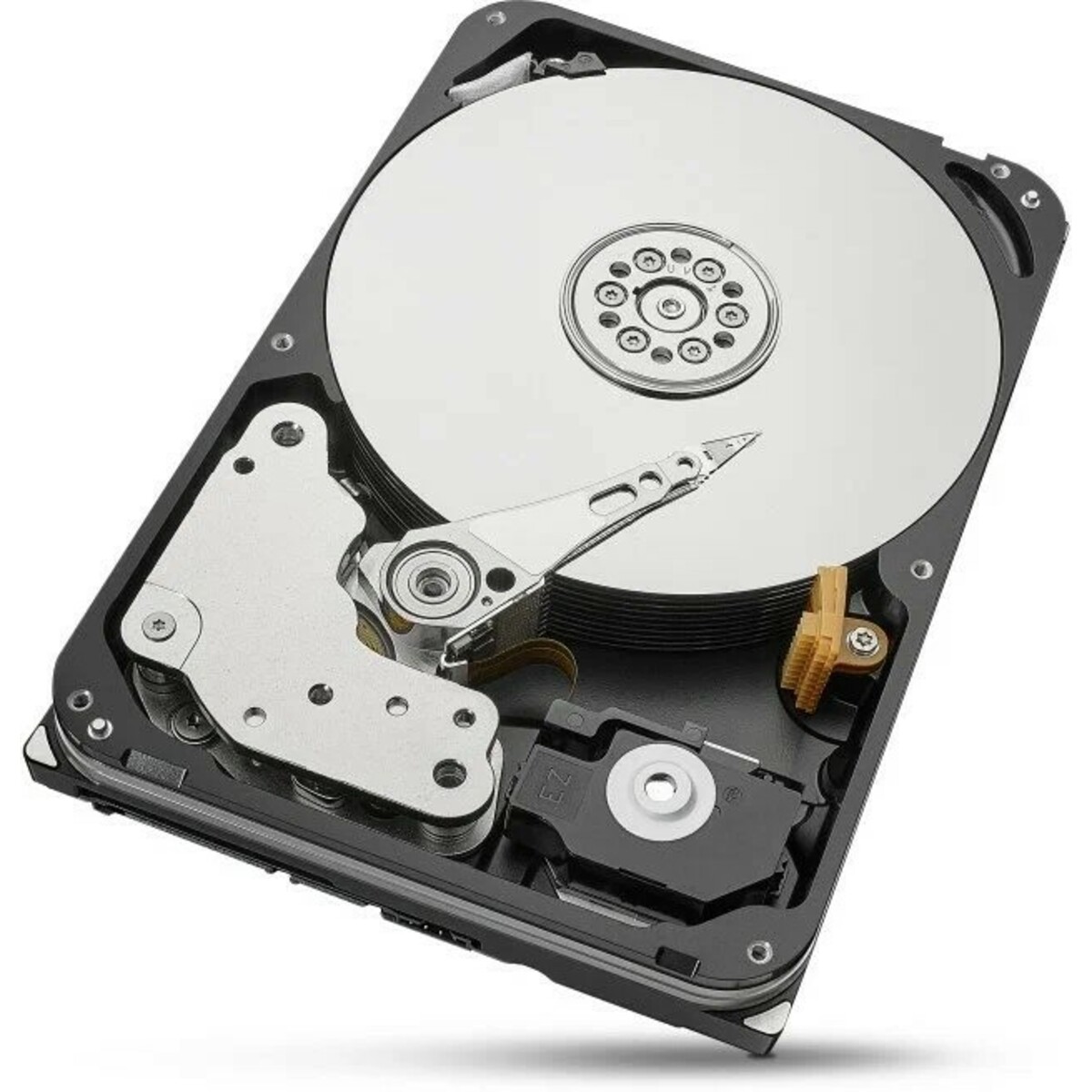 Жесткий диск Seagate SAS 20Tb ST20000NM002D 