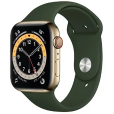 Умные часы Apple Watch Series 6 GPS 40mm Stainless Steel Case with Sport Band (Цвет: Gold/ Cyprus Green)