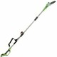 Кусторез Greenworks G24PS20 (Цвет: Green..