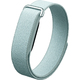 Фитнес-браслет Google Fitbit Air (Цвет: ..