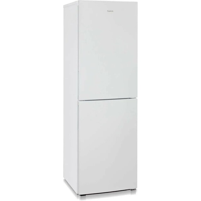 Холодильник Бирюса Б-6031 (Цвет: White)