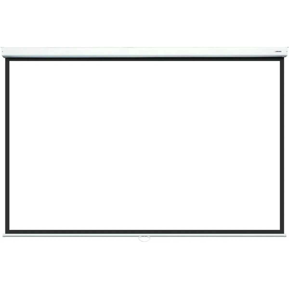 Экран Lumien Eco Picture LEP-100120 