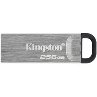 Флэш-накопитель Kingston 256GB DTKN/256GB (Цвет: Silver)