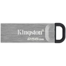 Флэш-накопитель Kingston 256GB DTKN/256GB (Цвет: Silver)