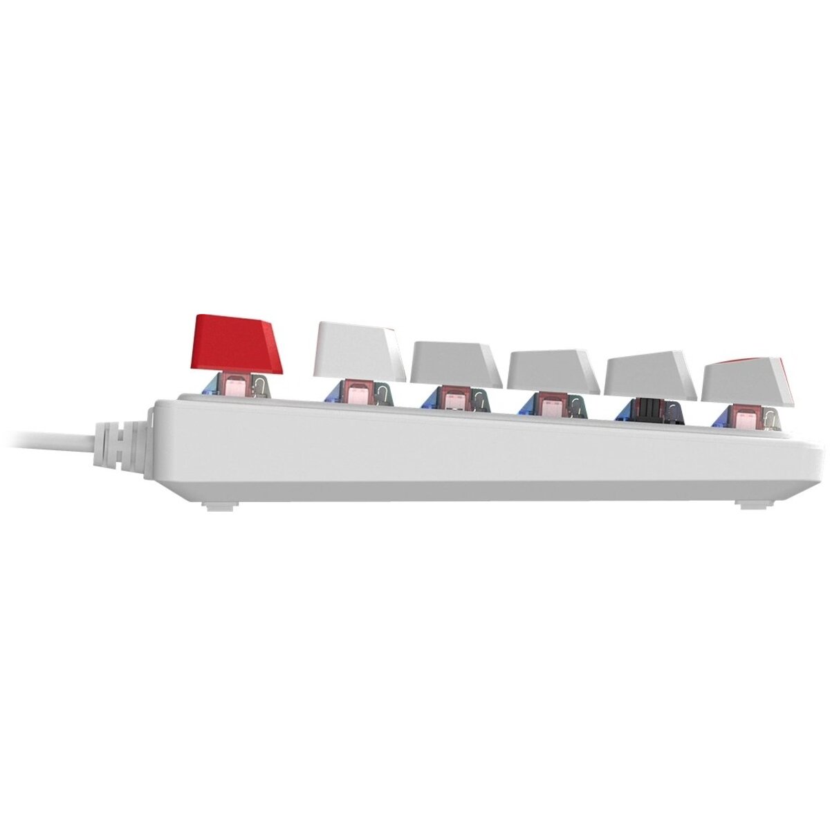 Клавиатура A4Tech S310N механическая (Цвет: White / Red) 