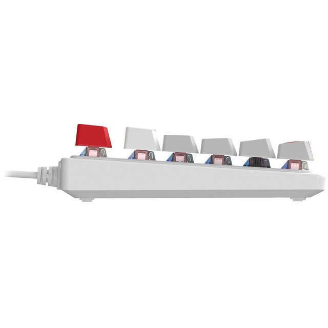 Клавиатура A4Tech S310N механическая (Цвет: White / Red) 
