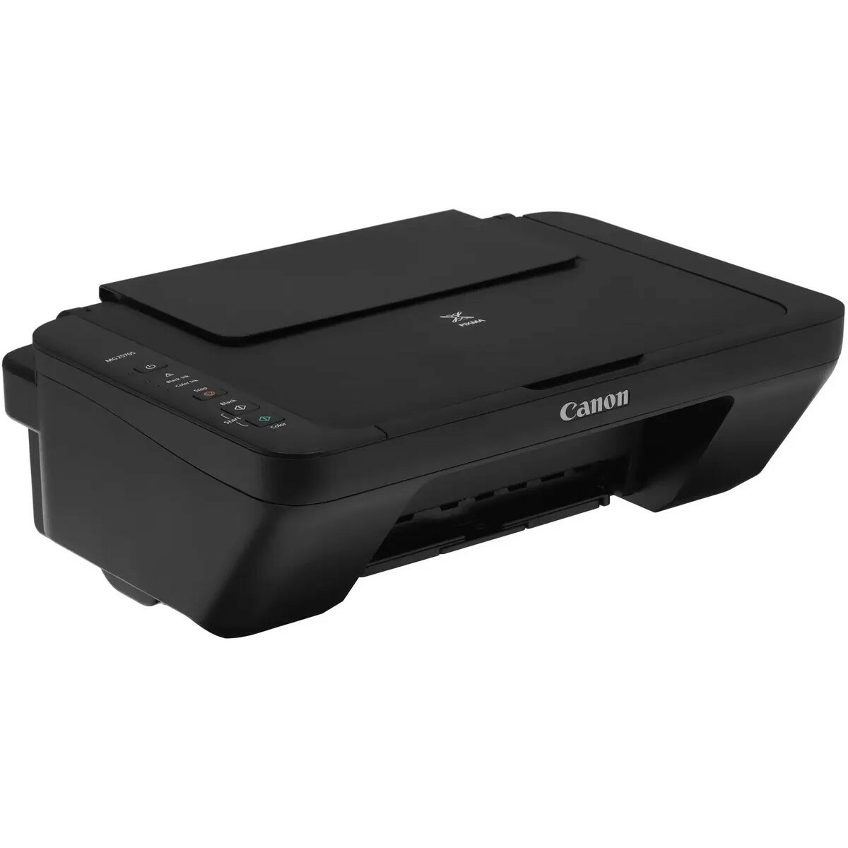 МФУ струйный Canon Pixma MG2570S, черный