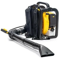 Воздуходувка Champion GBR357 (Цвет: Yellow/Black)