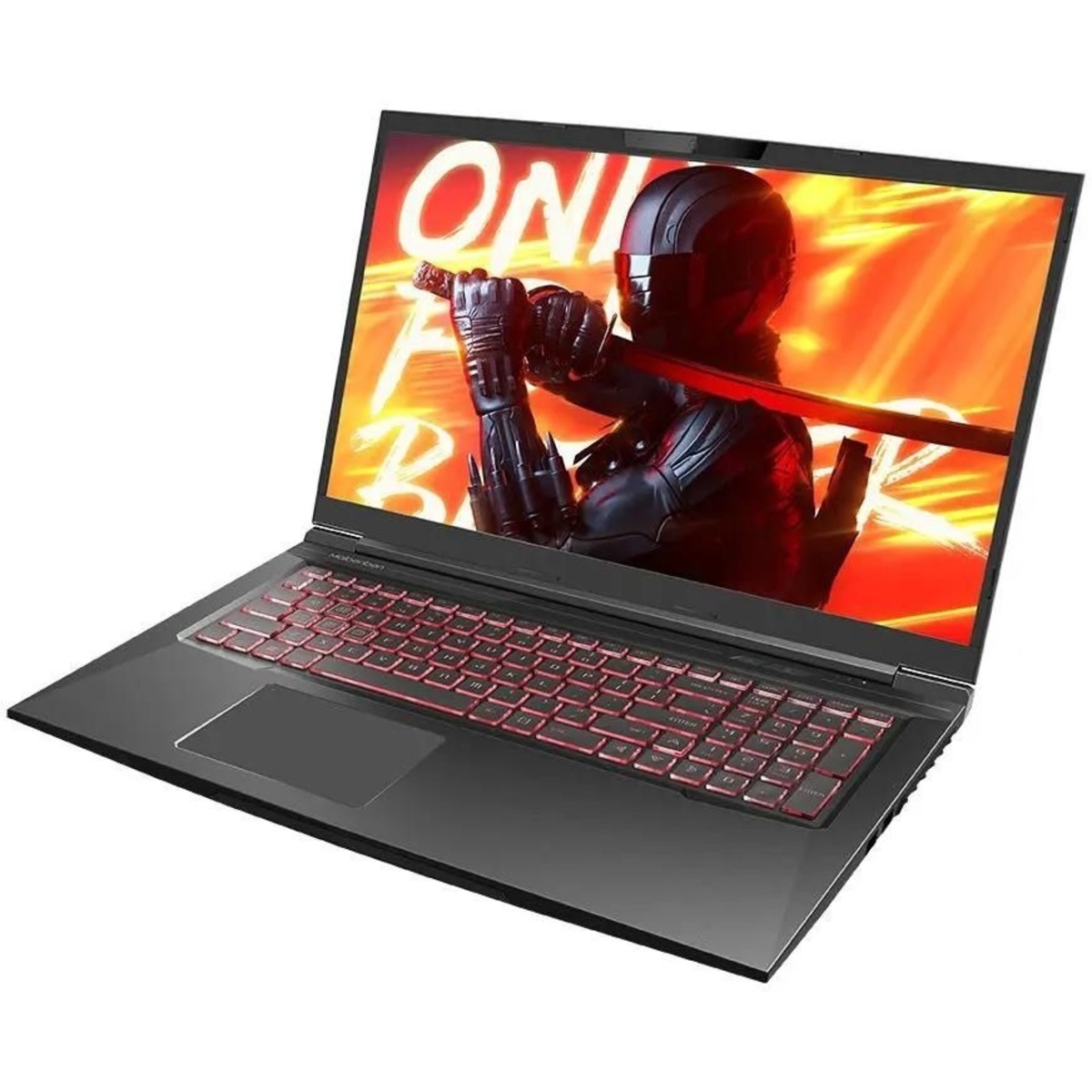 Ноутбук Maibenben X668 Core i7 12700H 32Gb SSD1Tb NVIDIA GeForce RTX 3070 8Gb 17.3 IPS QHD (2560x1440) Linux black WiFi BT Cam 4100mAh (X668QSJELBRE0)