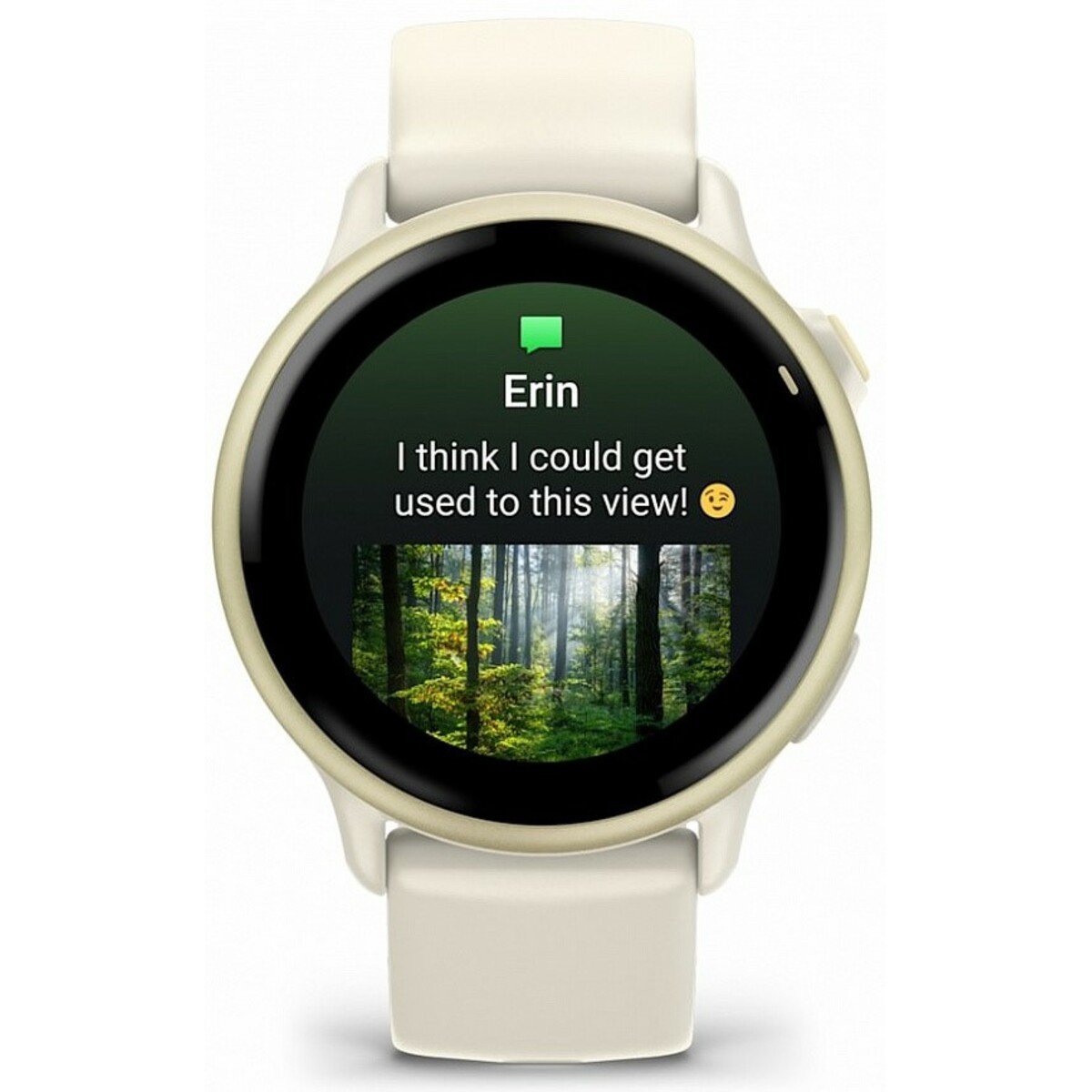 Умные часы Garmin VivoActive 6 (Цвет: Lunar Gold / Bone)