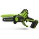 Цепная пила Greenworks G24MCS10 (Цвет: G..