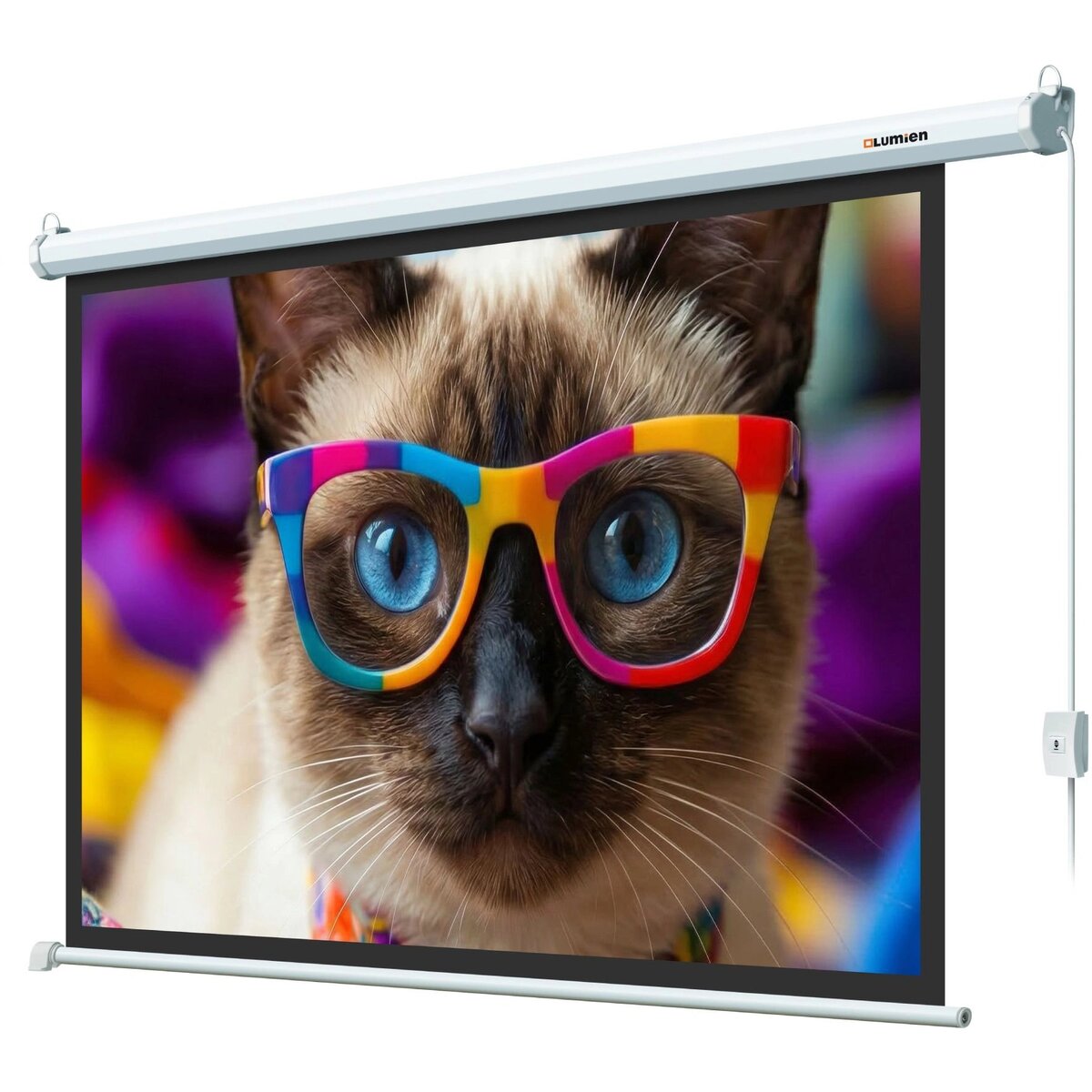 Экран Lumien 84 Eco Control LEC-100118