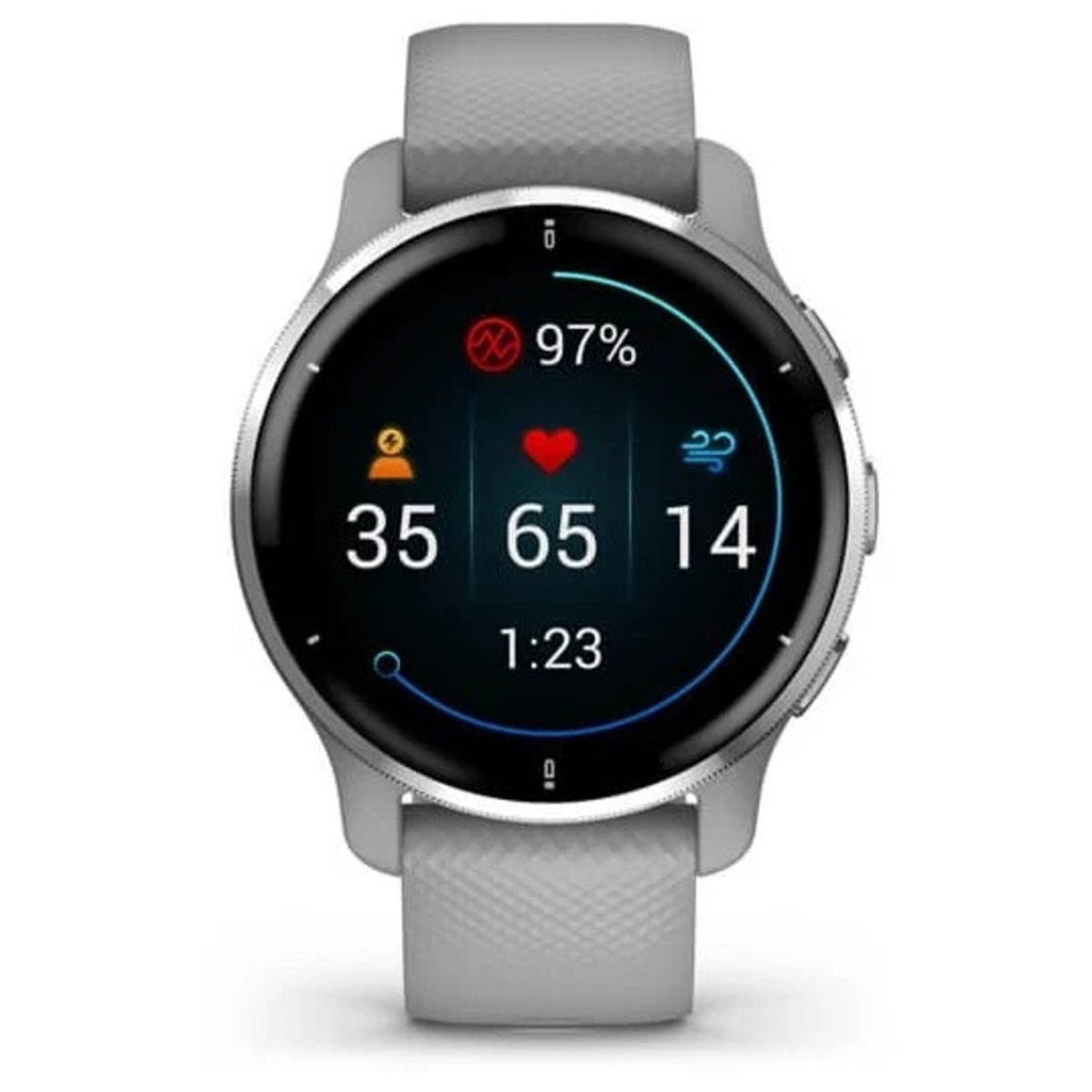 Умные часы Garmin Venu 2 Plus (Цвет: Grey)