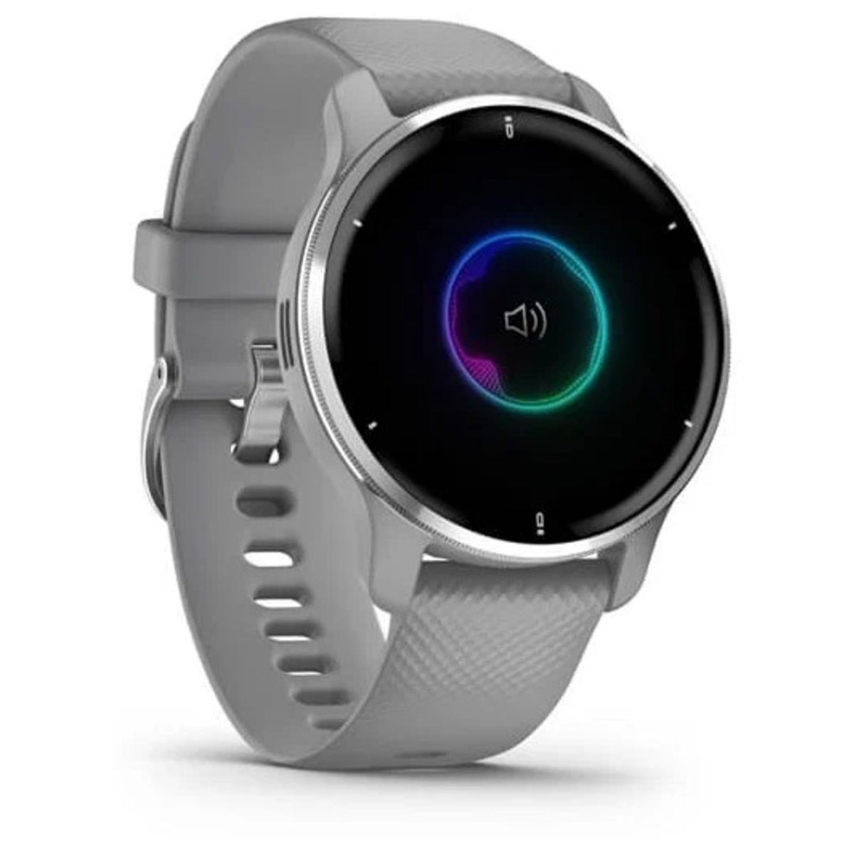 Умные часы Garmin Venu 2 Plus (Цвет: Grey)