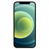Смартфон Apple iPhone 12 mini 256Gb (Цвет: Green)