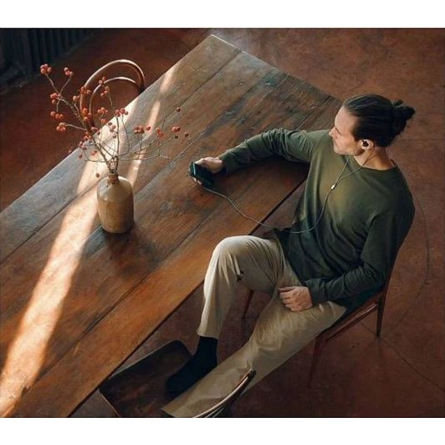 Наушники Sennheiser IE 300 (Цвет: Black)