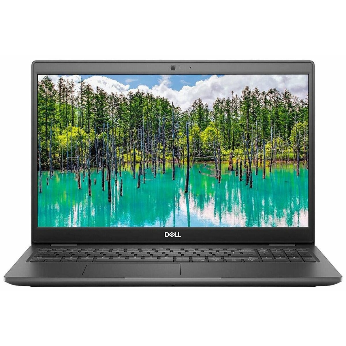 Ноутбук Dell Latitude 3510 (Intel Core i3 10110U / 8Gb DDR4 / SSD 256Gb / Intel UHD Graphics / 15.6