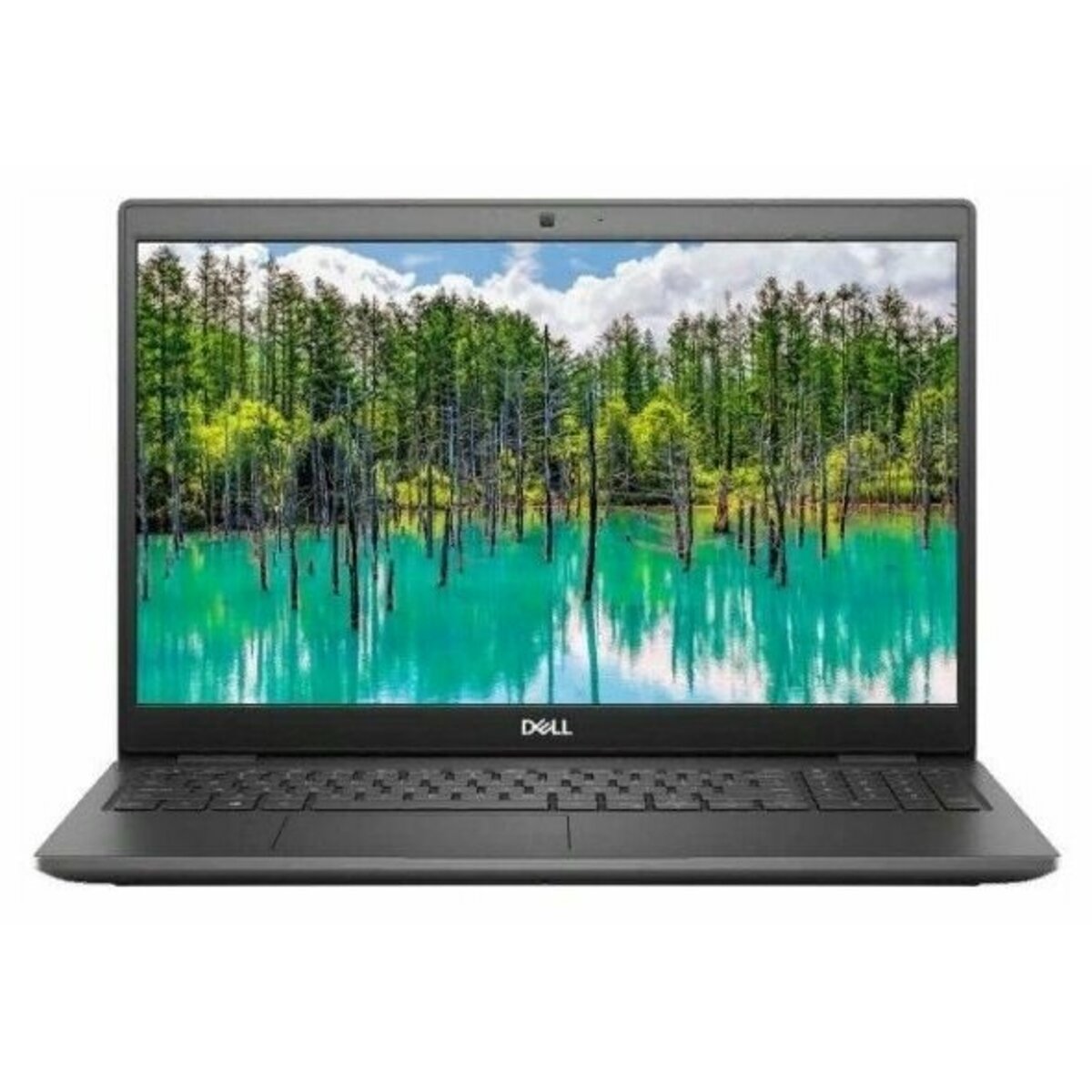 Ноутбук Dell Latitude 3510 (Intel Core i3 10110U / 8Gb DDR4 / SSD 256Gb / Intel UHD Graphics / 15.6
