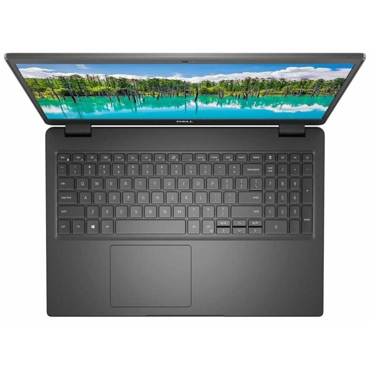 Ноутбук Dell Latitude 3510 (Intel Core i3 10110U / 8Gb DDR4 / SSD 256Gb / Intel UHD Graphics / 15.6