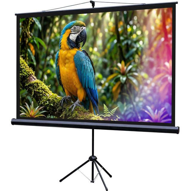 Экран Lumien 84 Eco Picture LEV-100113 Экран Lumien 84 Eco Picture LEV-100113
