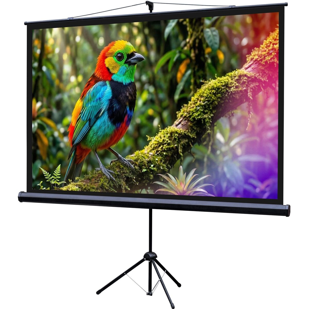 Экран Lumien 88 Eco Picture LEV-100114