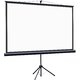 Экран Lumien 100 Eco Picture LEV-100115 Экран Lumien 100 Eco Picture LEV-100115