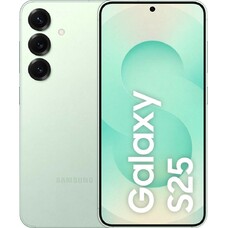 Смартфон Samsung Galaxy S25 12/256Gb (Цвет: Mint)
