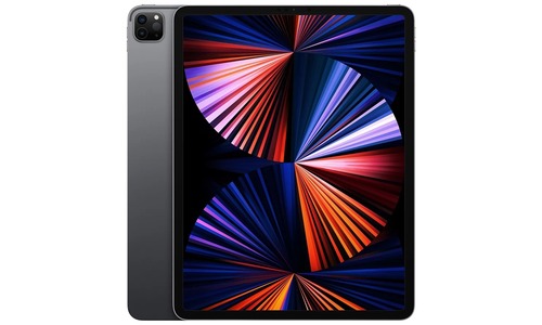 Купить Apple iPad Pro 12.9 (2021) 256 Gb серый в СПб | Цены на