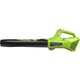 Воздуходувка Greenworks G24AB (Цвет: Gre.. Воздуходувка Greenworks G24AB (Цвет: Gre..