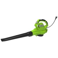 Воздуходувка Greenworks BL3000 (Цвет: Green/Black)