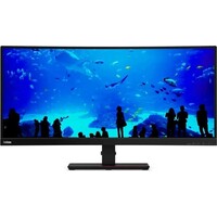 Монитор Lenovo 34  P34w-20, черный