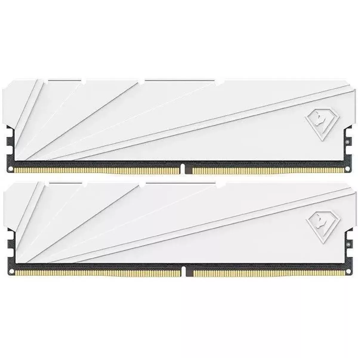 Память DDR4 2x16Gb 3200MHz Netac NTSSD4P32DP-32W 