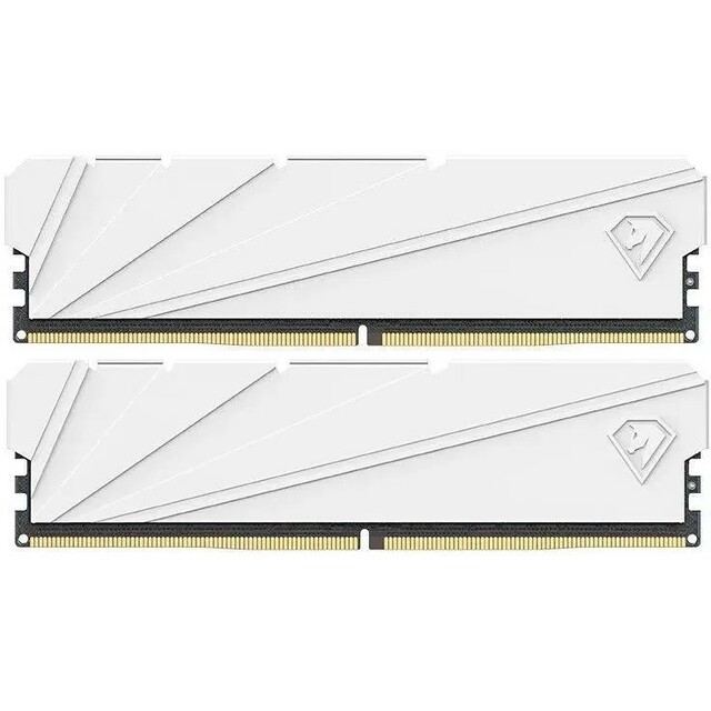 Память DDR4 2x16Gb 3200MHz Netac NTSSD4P32DP-32W 