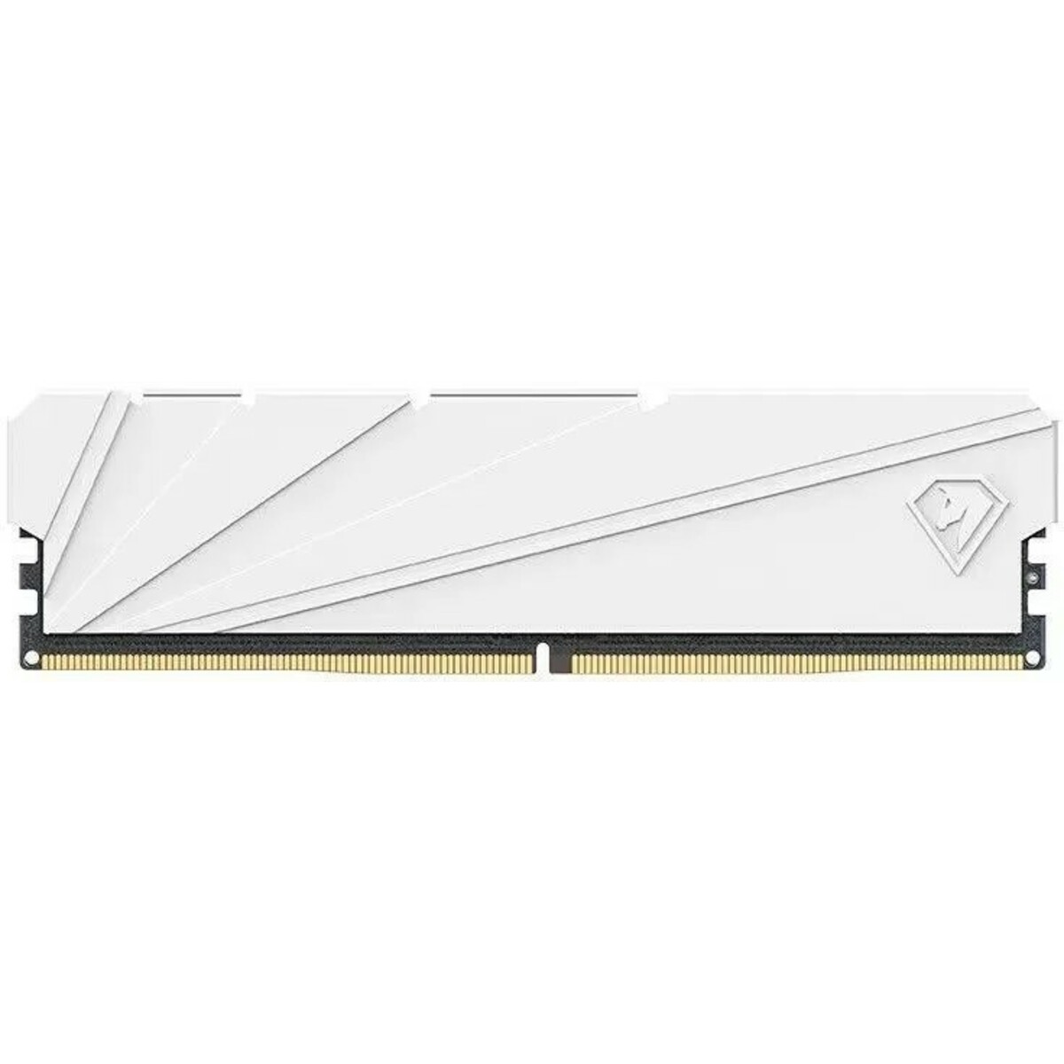 Память DDR4 2x16Gb 3200MHz Netac NTSSD4P32DP-32W 