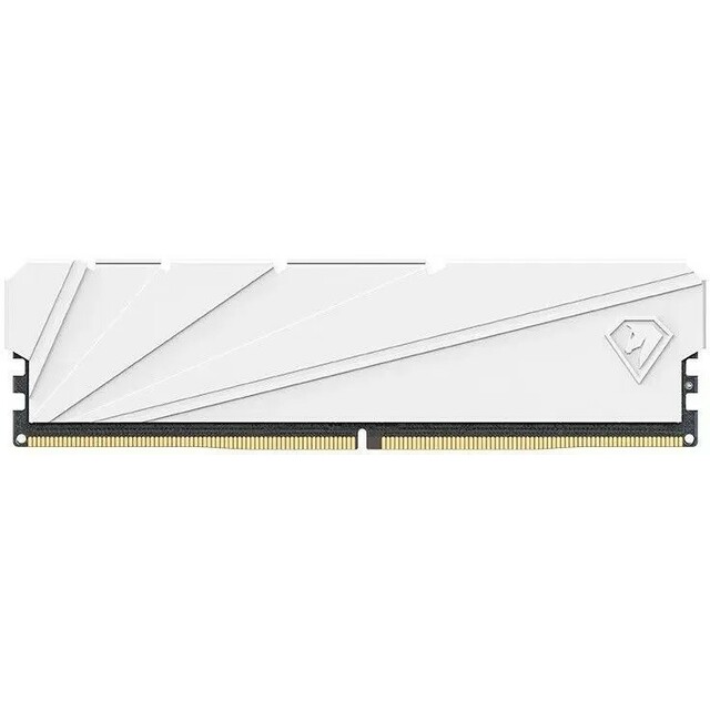 Память DDR4 2x16Gb 3200MHz Netac NTSSD4P32DP-32W 
