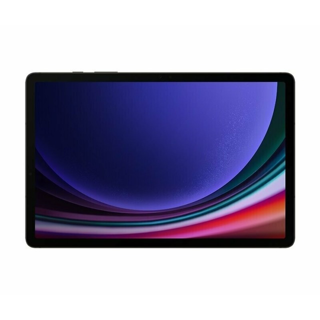 Планшет Samsung Galaxy Tab S9 Wi-Fi 12/256Gb (Цвет: Graphite)