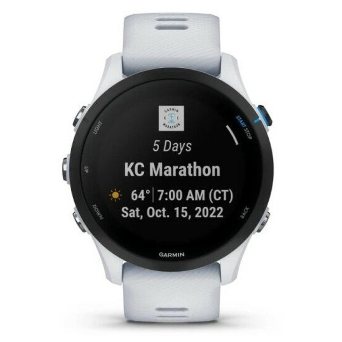 Умные часы Garmin Forerunner 255 Music (Цвет: Whitestone)