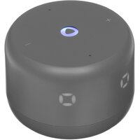 Умная колонка Яндекс Станция Лайт 2 c Алисой на YaGPT (Цвет: Graphite)