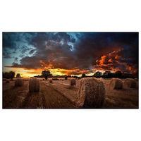 Панель Samsung 46  VM46B-U, черный