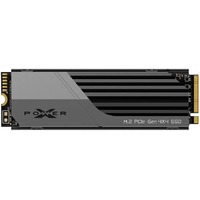 Накопитель SSD Silicon Power PCI-E 4.0 x4 2Tb SP02KGBP44XS7005
