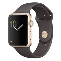 Умные часы Apple Watch Series 1 42mm with Sport Band (Цвет: Gold/Cocoa)