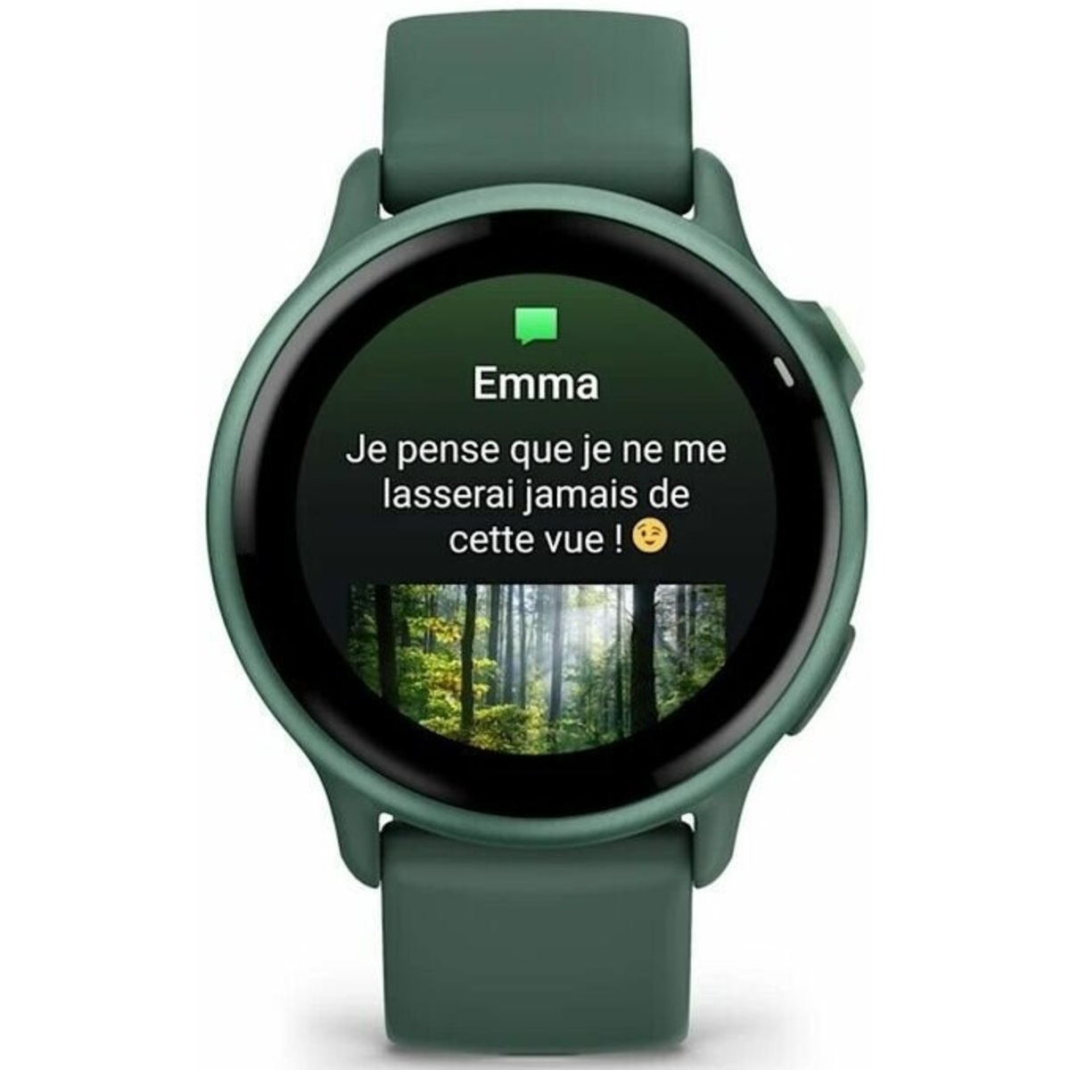 Умные часы Garmin VivoActive 6 (Цвет: Green)