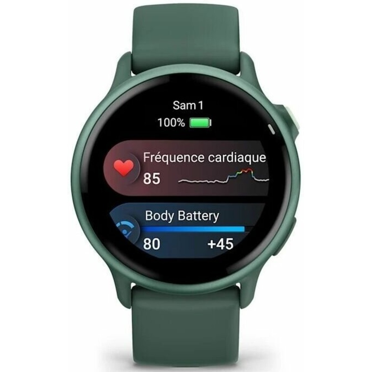 Умные часы Garmin VivoActive 6 (Цвет: Green)